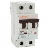 INTER. MAGNET. ALPHA 2P 25A CURVA C