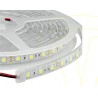 TIRA LED 17W 6000K 1950MT 50MT CRI90