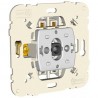 PULSADOR LUMINOSO DE 250V~