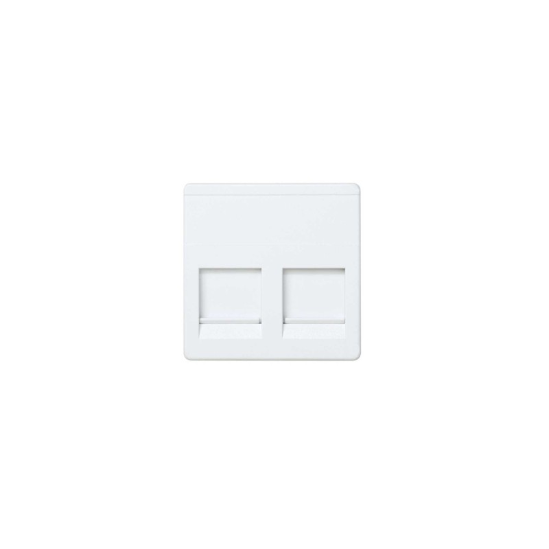 TAPA INFORMATICA 2 CONECTORES AMP