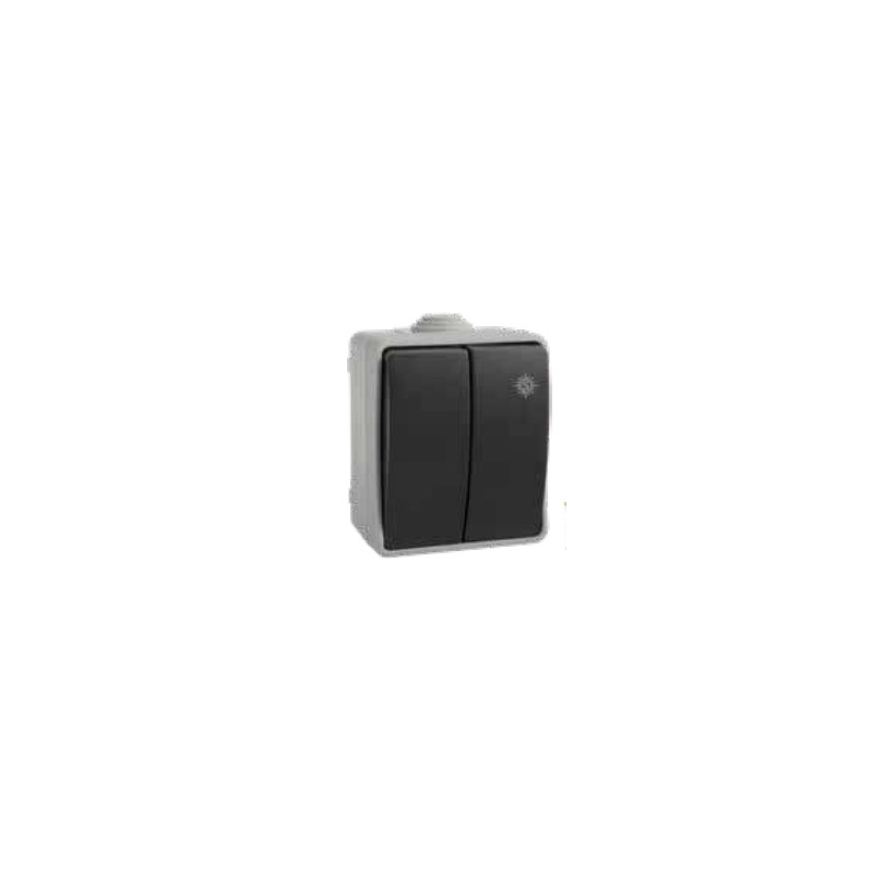 DOBLE CONMUTADOR PLEXO 10A 250V~