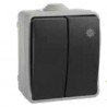 DOBLE CONMUTADOR PLEXO 10A 250V~