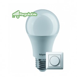 LAMP. DAFNE 9W E27 6000K