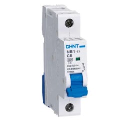 INT.AUT.DPN 1P+N/1MOD.10A C