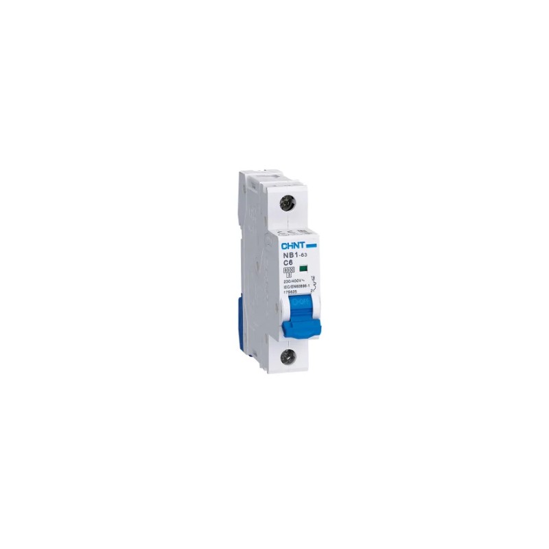 INT.AUT.DPN 1P+N/1MOD.10A C