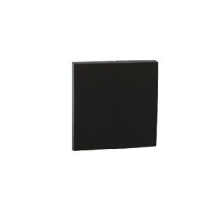 TECLA DOBLE NEGRO 90611 TPM