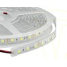 TIRA LED 17W 6000K 1950MT 50MT CRI90
